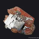 Bustamite on Galena - image 3