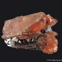 Bustamite on Galena - image 2
