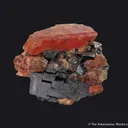 Bustamite on Galena - image 1