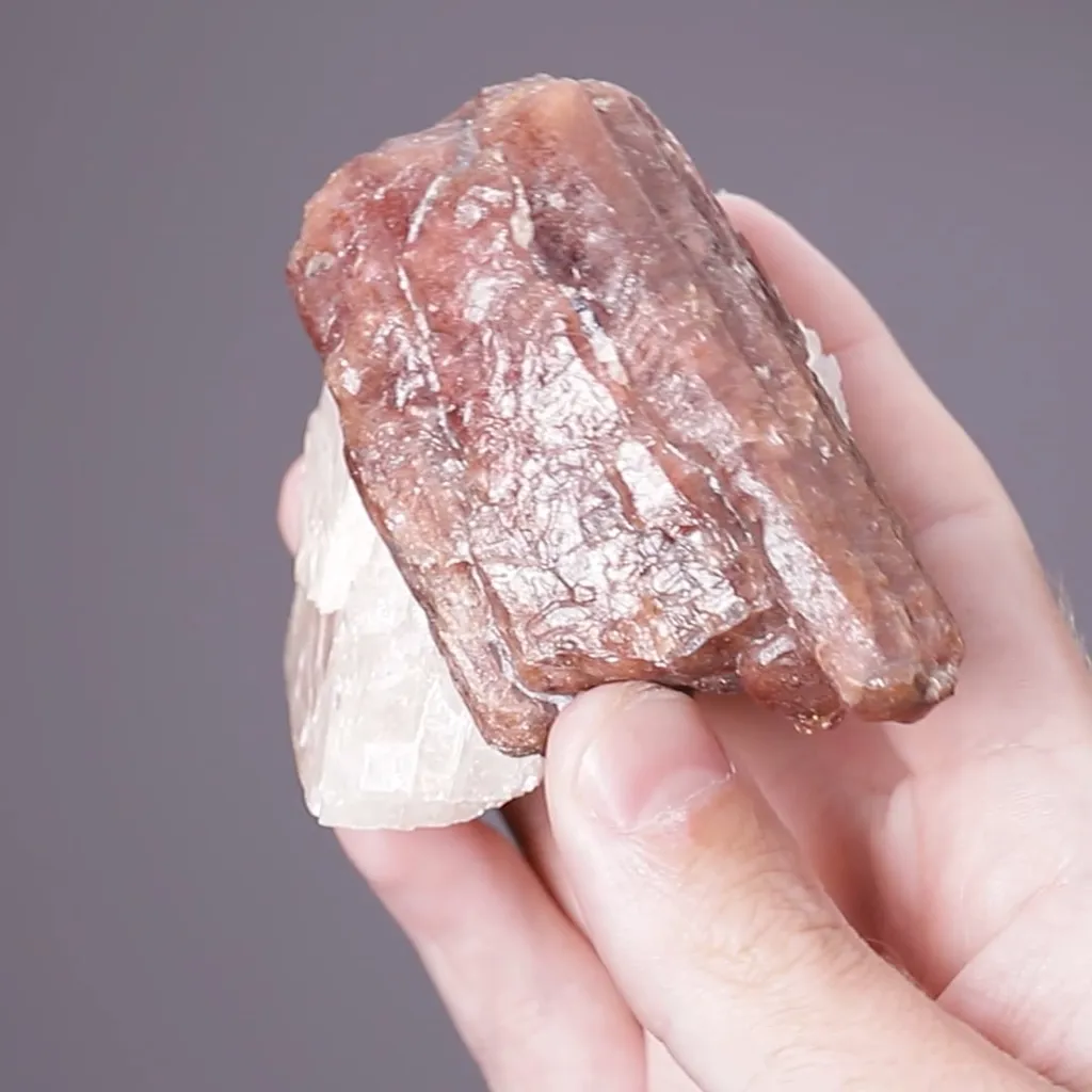 Bustamite with Calcite - image 2
