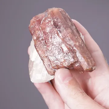 Bustamite with Calcite