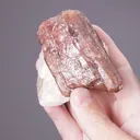 BUSTAMITE with CALCITE - image 2