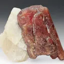 BUSTAMITE with CALCITE - image 1