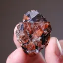 Bustamite with Galena - image 2