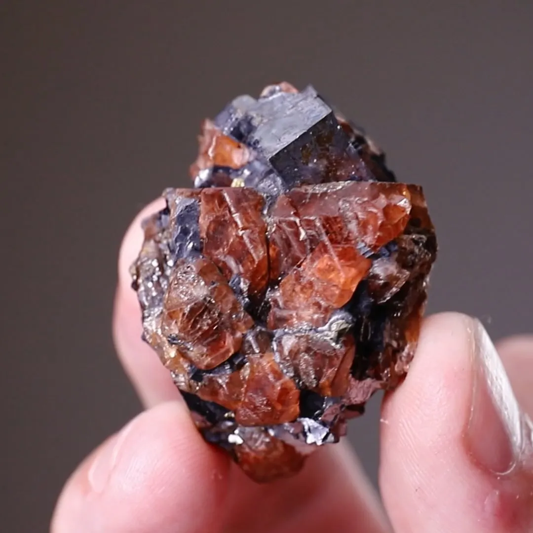 Bustamite with Galena - image 2