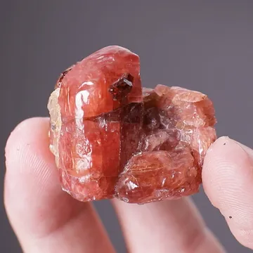 Bustamite with Spessartine Garnet
