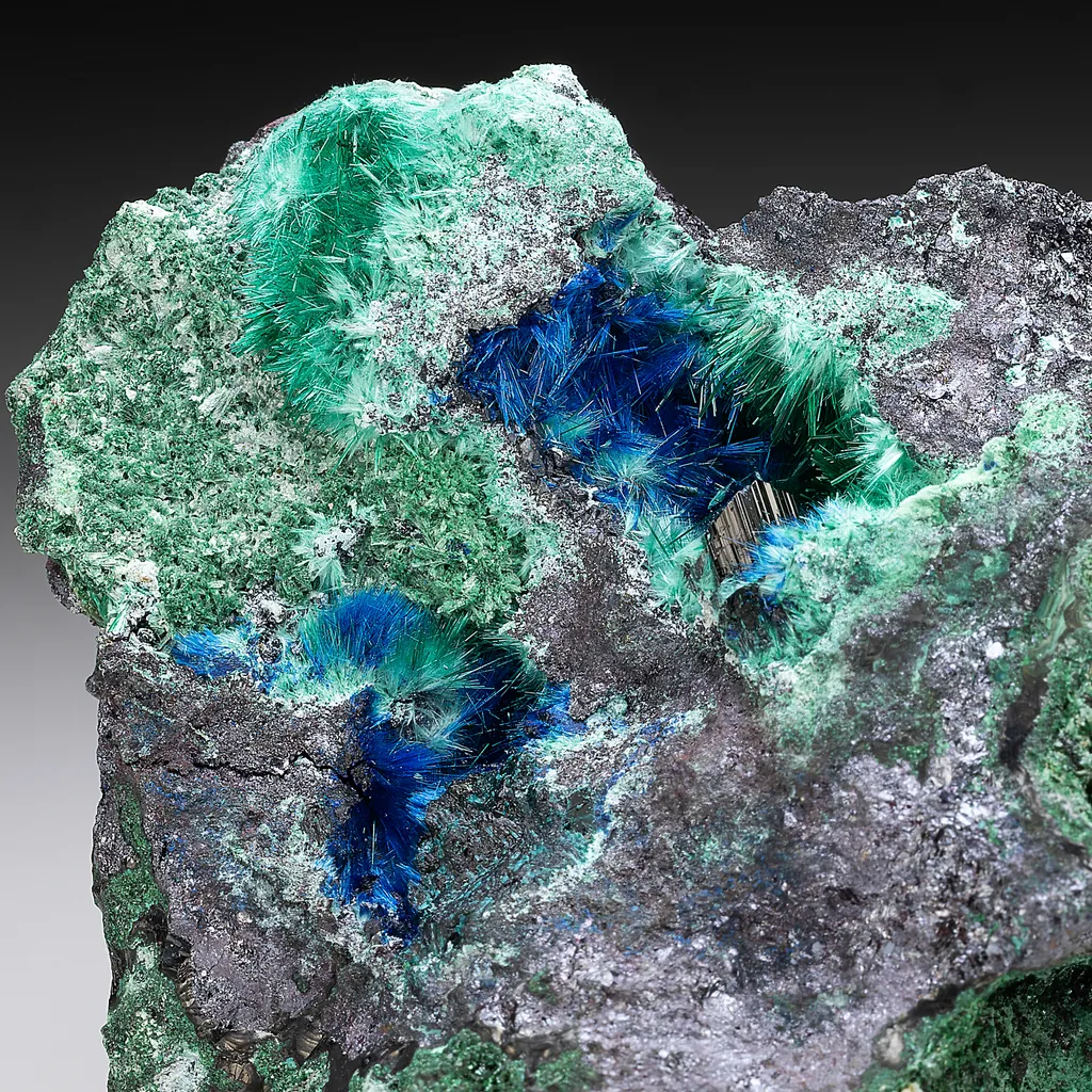 Buttgenbachite with Gerhardtite, Brochantite, Malachite & Cuprite image