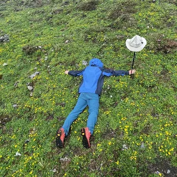 桃李