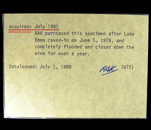 specimen