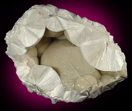 Pectolite
