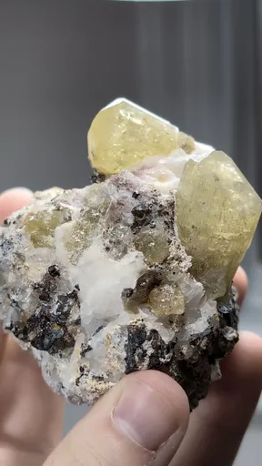specimen video