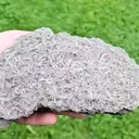 specimen video