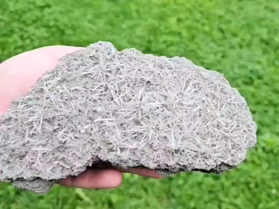 specimen video