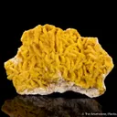 Cadmian Smithsonite ps. Dolomite - image 3