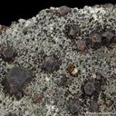 Cafarsite - image 1