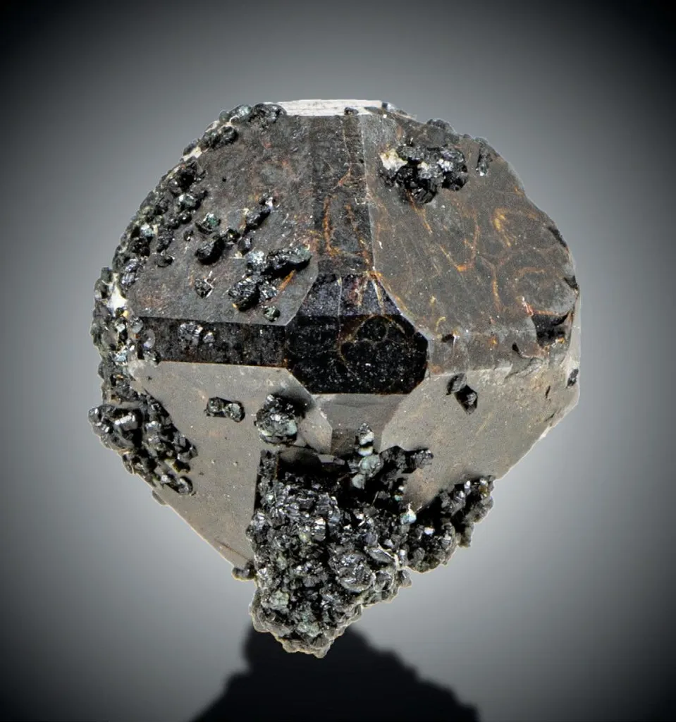 Cafarsite image