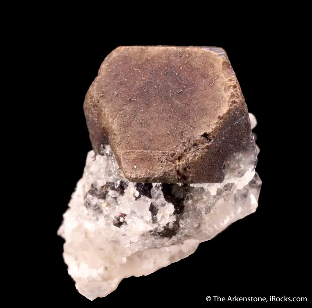 Cafarsite image