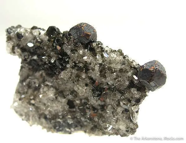 Cafarsite image