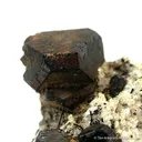 Cafarsite - image 2