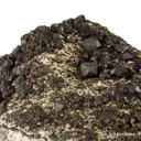 Cafarsite (rare cabinet display specimen!) - image 3