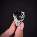 Cafarsite (Type Locality) with Clinochlore - image 2