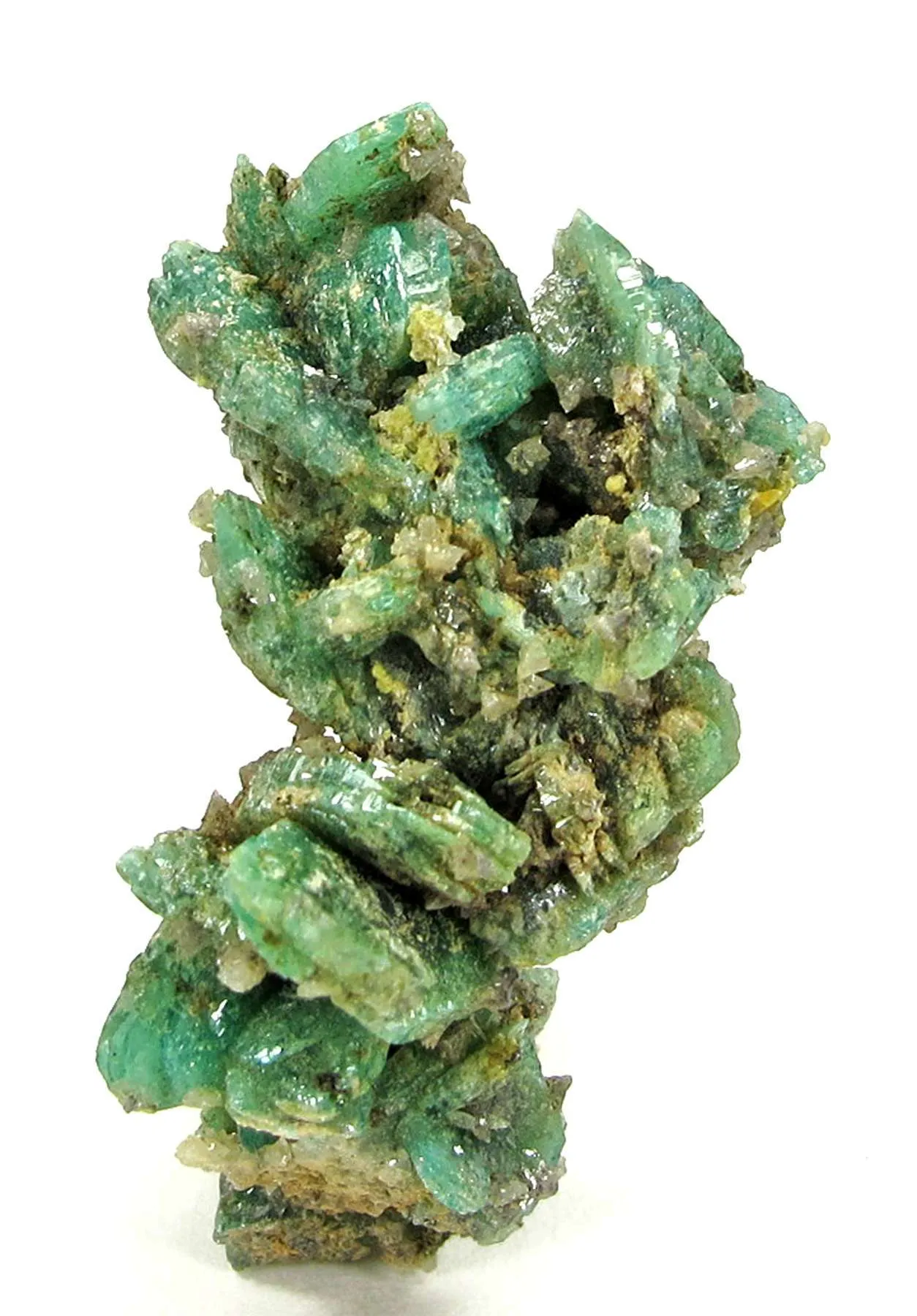 Cahnite With Borcarite - image 2