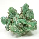 Cahnite With Borcarite - image 2