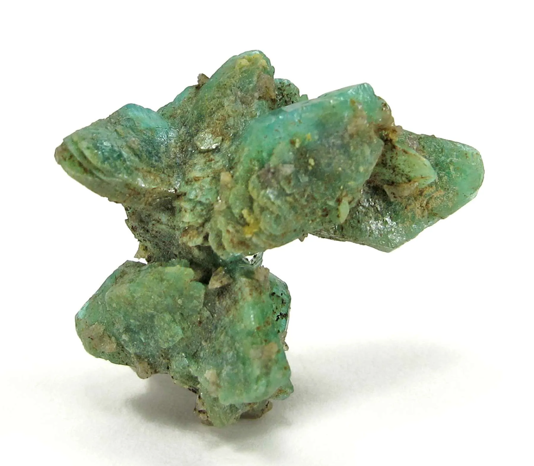 Cahnite With Borcarite - image 4