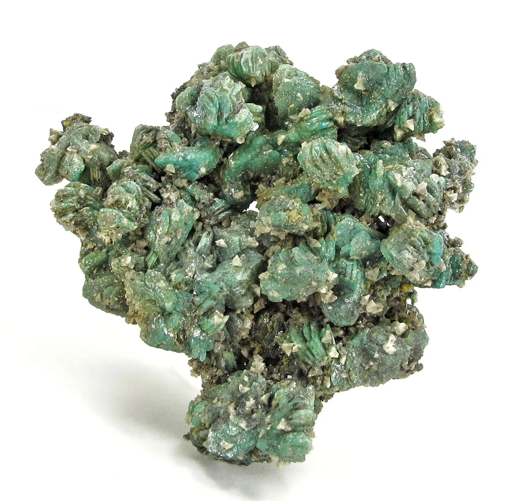 Cahnite With Borcarite - image 2