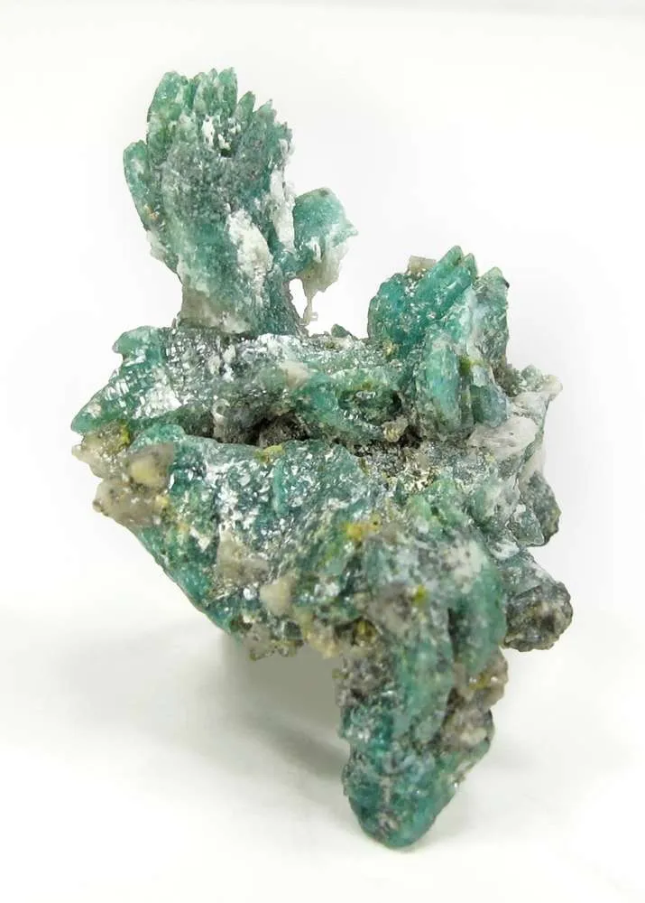 Cahnite With Borcarite - image 3