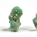 Cahnite With Borcarite (Group Of Thumbnail Specimens) - image 4