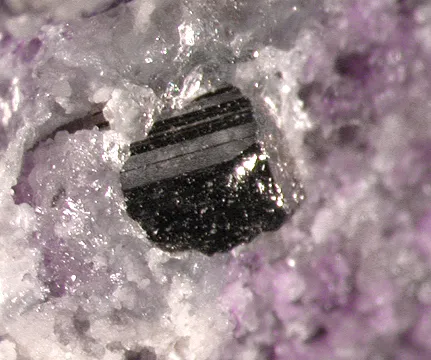 Calaverite, Fluorite image