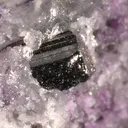 Calaverite, Fluorite - image 1