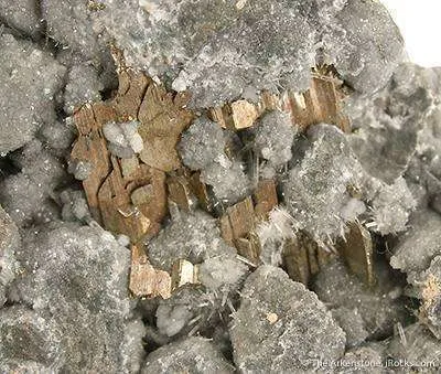 Calaverite on Quartz - image 2