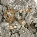 Calaverite on Quartz - image 2