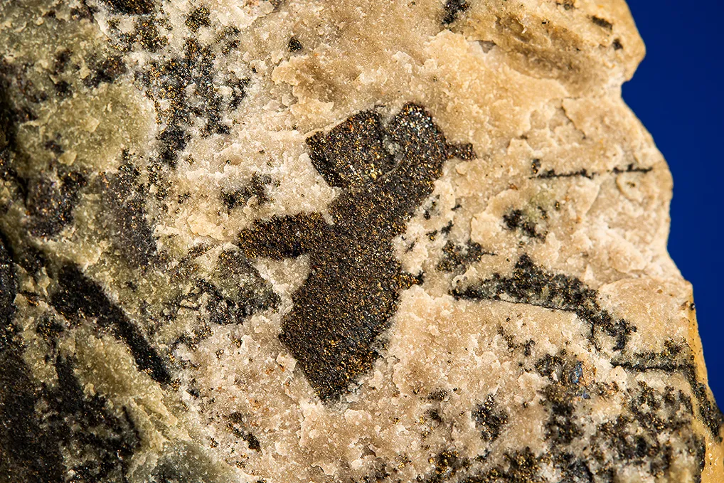 Calaverite with OTHER TELLURIDES - image 2
