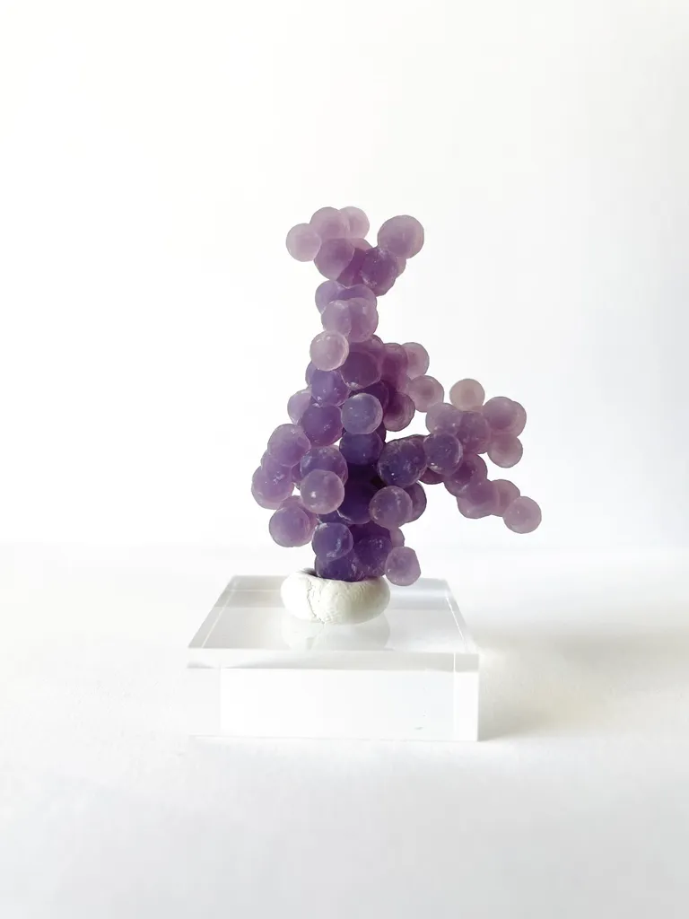 Calcédoine from Indonesia, West Sulawesi Province, Mamuju Regency image