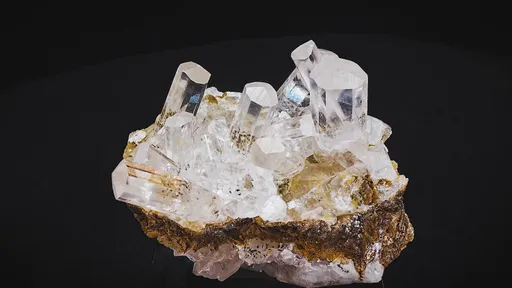 specimen video