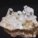 specimen video