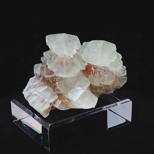 specimen video