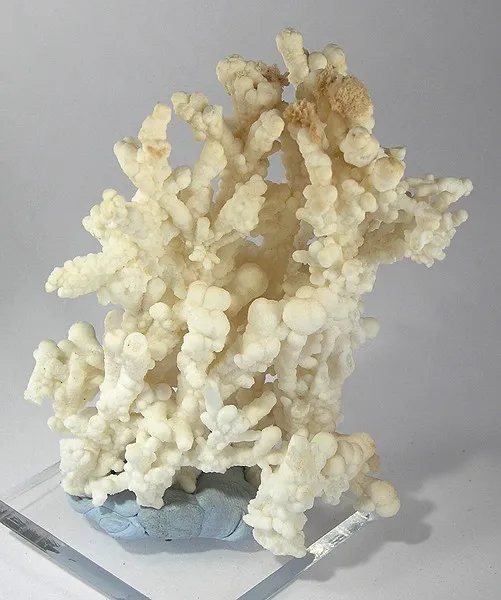 Calcite image