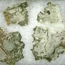 Calcite - image 1