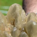 Calcite 3830 grams - Durlinsdorf, Altkirch district, Haut-Rhin, Grand Est, France - image 3