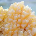 Calcite - 4800 grams - Hayange, Moselle, France - image 2