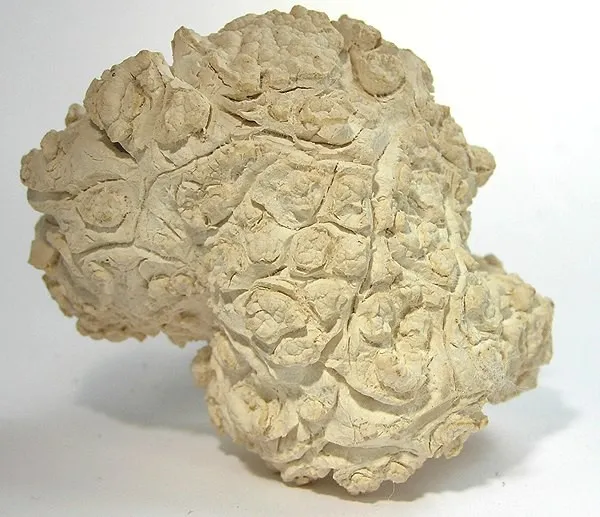 Calcite image