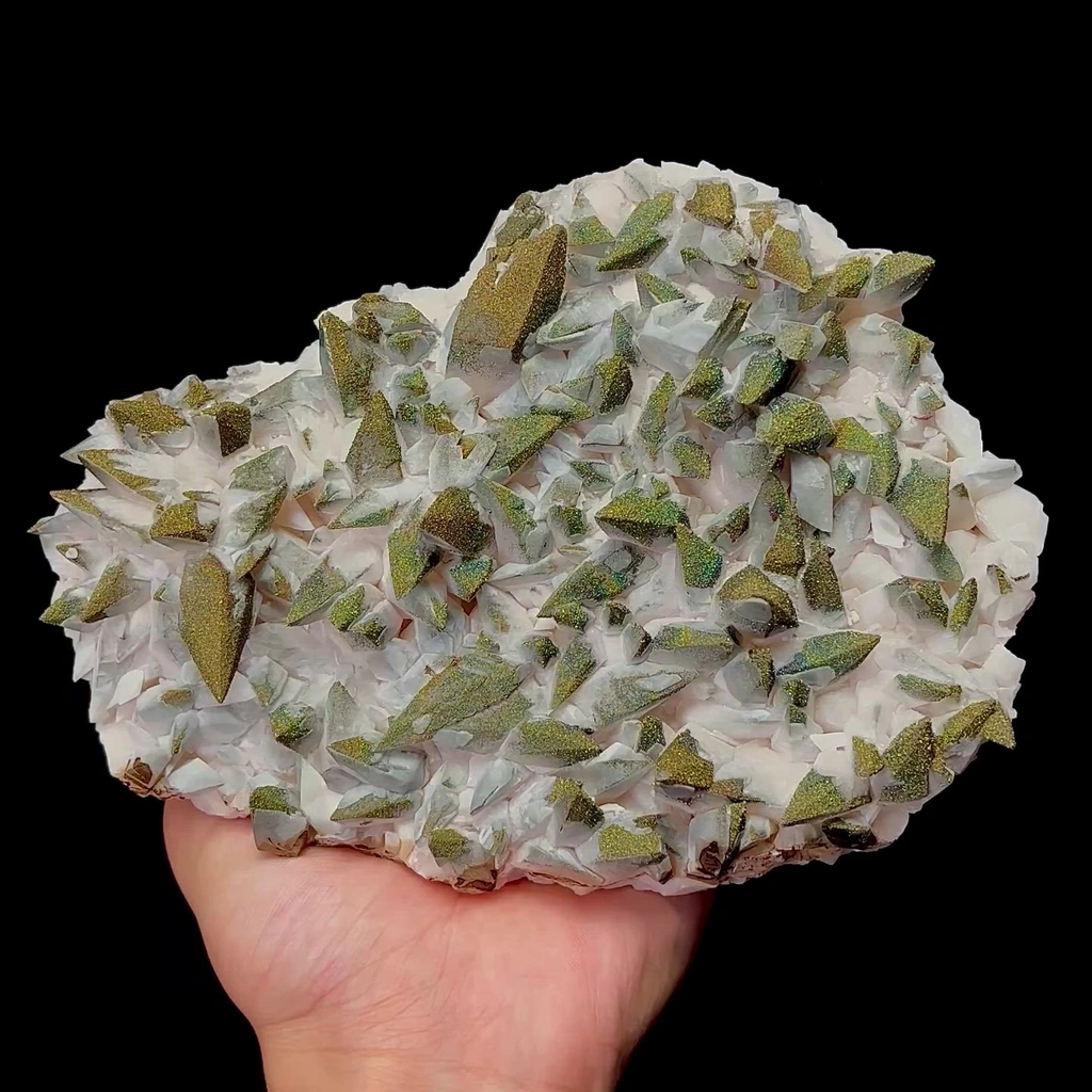 specimen video