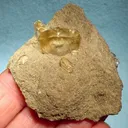 Calcite - image 1