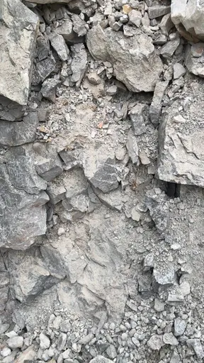 specimen video