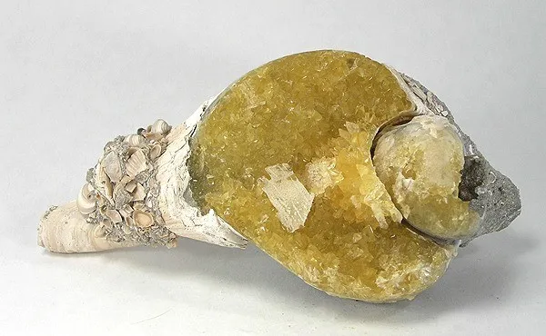 Calcite image