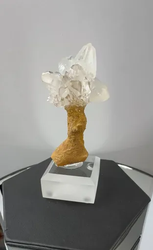 specimen video